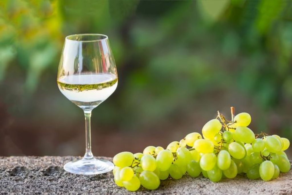 harmonização para vinhos brancos